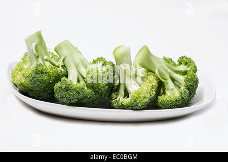 Fresh Brocoli (Brassica oleracea italica) groupe dans une assiette blanche sur fond blanc Banque D'Images