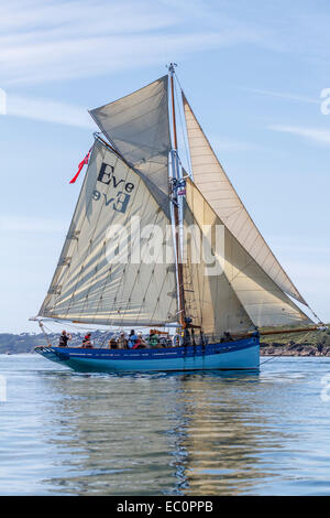 Veille de St Mawes concurrentes dans Falmouth Classics 2014. Banque D'Images