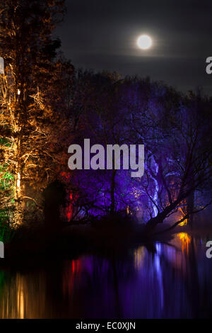 Enchanted Woodland - illuminations de la nuit Parc, lac et arbres à Syon Park à Brentford, Londres Banque D'Images