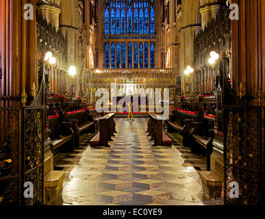 Les stalles du choeur de Beverley Minster, Humberside, East Yorkshire, England UK Banque D'Images