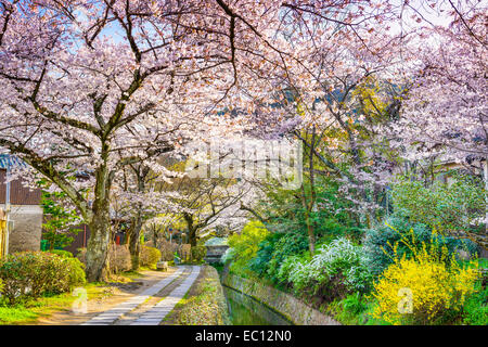 Kyoto, Japon à Philosopher's Way au printemps. Banque D'Images