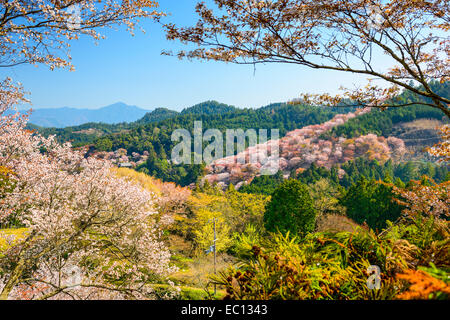 Yoshinoyama, Nara, Japon, Paysage de printemps. Banque D'Images