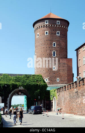 Entrée au château royal de Wawel de Cracovie sur en Pologne. Banque D'Images