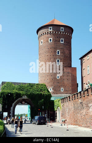 Entrée au château royal de Wawel de Cracovie sur en Pologne. Banque D'Images