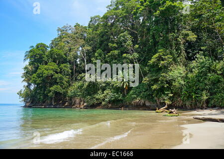 Côte tropicale avec une végétation luxuriante, sur la plage de Punta Uva, Caraïbes, Puerto Viejo, Costa Rica Banque D'Images