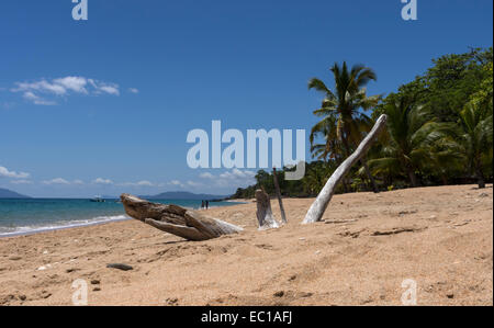 Personnes à pied et de bois flotté sur une plage de Madagascar Banque D'Images