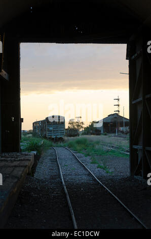 Hangar de marchandises, Pichi Richi Railway, Quorn, Australie du Sud Banque D'Images