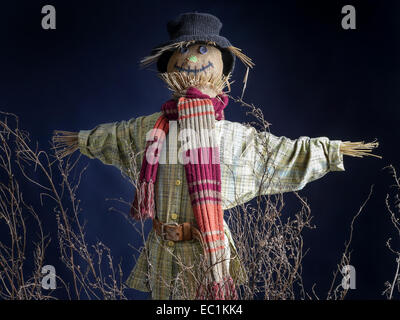 Scarecrow sur fond bleu foncé Banque D'Images