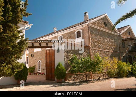 El Madrono ferme, Martos, Jaen province, région d'Andalousie, Espagne, Europe Banque D'Images