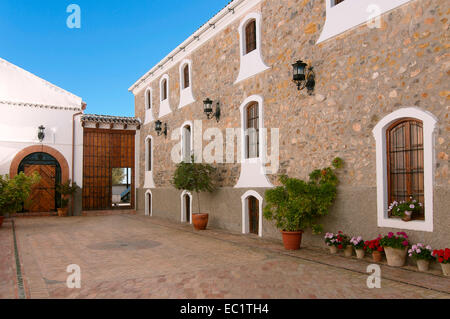 El Madrono ferme, Cour, Martos, Jaen province, région d'Andalousie, Espagne, Europe Banque D'Images