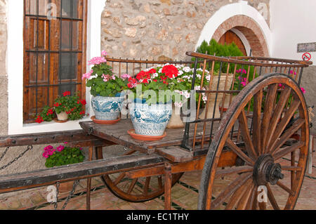 Gîte rural El Madrono Fleurs, transport, Martos, Jaen province, région d'Andalousie, Espagne, Europe Banque D'Images