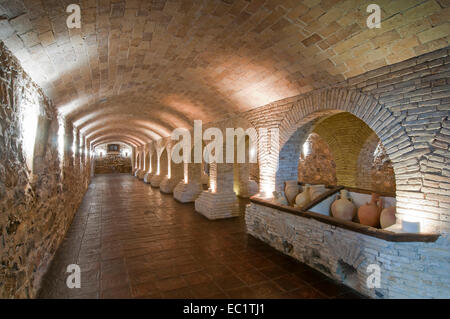 El Madrono ferme, anciennes écuries, Martos, Jaen province, région d'Andalousie, Espagne, Europe Banque D'Images