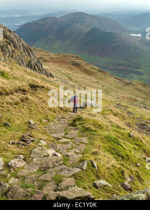 Seule femme walker hill haut sur sentier Harrison Stickle croissant, Elterwater, Lake District, Cumbria, England, UK. Banque D'Images