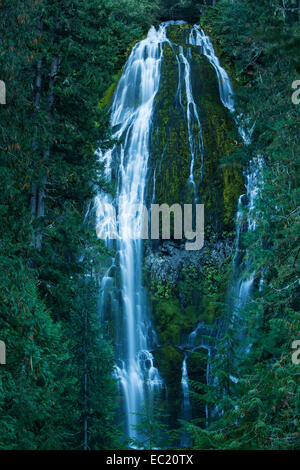 Chutes proxy, une cascade sur la rivière Mckenzie, Eugene, Oregon, united states Banque D'Images