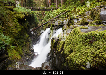 Sol Duc falls dans le sol duc river valley, sol duc valley, Washington, United States Banque D'Images