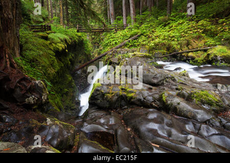 Sol Duc falls dans le sol duc river valley, sol duc valley, Washington, United States Banque D'Images