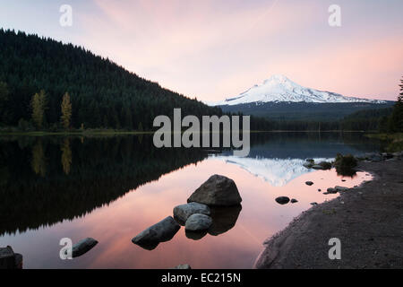 Lac trillium avec mount hood, clackamas County, Oregon, united states Banque D'Images