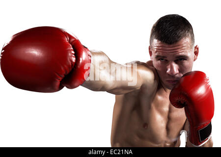 Professionl boxeur est isolated on white Banque D'Images