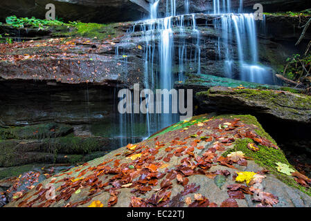 Cascade en automne, Foreste Casentinesi National Park, Italie Banque D'Images