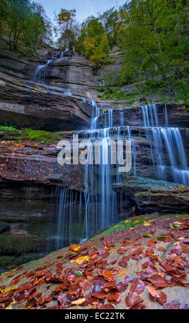 Cascade en automne, Foreste Casentinesi National Park, Italie Banque D'Images