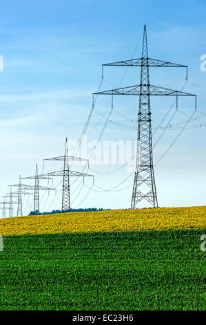 Ligne de transport d'énergie électrique à travers un champ de tournesols, Allersberg, Upper Bavaria, Bavaria, Germany Banque D'Images