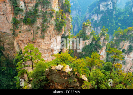 Montagnes Avatar quartz-verticale avec piliers en grès, Zhangjiajie National Forest Park, dans la province de Hunan, Chine Banque D'Images