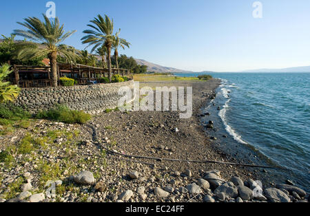 La plage sur la côte est de la mer de Galilée en Israël Banque D'Images