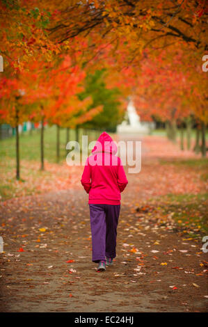 Personne qui marche le long d'un trottoir rempli de couleurs d'automne Banque D'Images