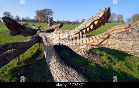 Sculpture Crocodile dans arbre tombé Stratford Park, Stroud Banque D'Images