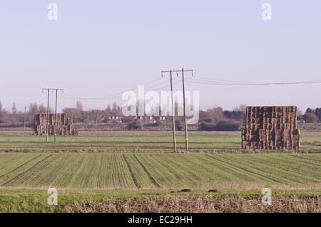 Les terres agricoles près de Crowland dans les fagnes de South Lincolnshire. Banque D'Images