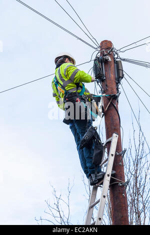 L'entretien de la ligne téléphonique. BT Openreach ingénieur téléphone en haut d'un poteau télégraphique et téléphonique le maintien de connexion haut débit, England, UK Banque D'Images