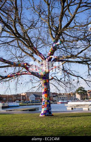 Manchon en tricot Patchwork couvrant un chêne en hiver à Stratford upon Avon, Warwickshire, Angleterre Banque D'Images