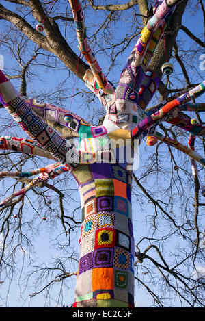 Manchon en tricot Patchwork couvrant un chêne en hiver à Stratford upon Avon, Warwickshire, Angleterre Banque D'Images