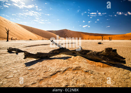 L'Afrique, la Namibie. Désert du Namib. Sossusvlei, Naukluft Park. Deadvlei et arbres morts. Banque D'Images