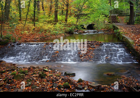 UK,South Yorkshire,Sheffield,Porter Brook Weir Banque D'Images