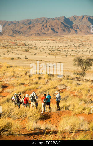 L'Afrique, la Namibie. Tok Tokkie Trails. Randonnées de camping. Parution du modèle. Banque D'Images