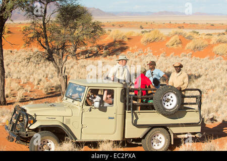 L'Afrique, la Namibie. Tok Tokkie Trails randonnée pédestre et observation de la faune dans le chariot. Parution du modèle. Banque D'Images