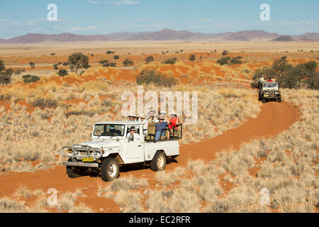 L'Afrique, la Namibie. Tok Tokkie Trails randonnée pédestre et observation de la faune dans le chariot. Parution du modèle. Banque D'Images