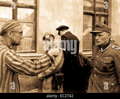 Fédération esclave laboureur parmi les prisonniers libérés par la 3e division blindée de l'souligne fromer garde nazie qui a battu brutalement les prisonniers. L'Allemagne, le 14 avril 1945. t4c. harold m. Roberts. (Armée) Banque D'Images