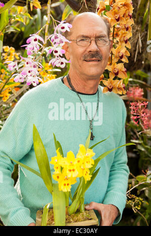 Portrait de Bill Robson tenant un odontoglossum orchidée Parade jaune parmi certains des orchidées dans son ombre house, Santa Barbara Banque D'Images