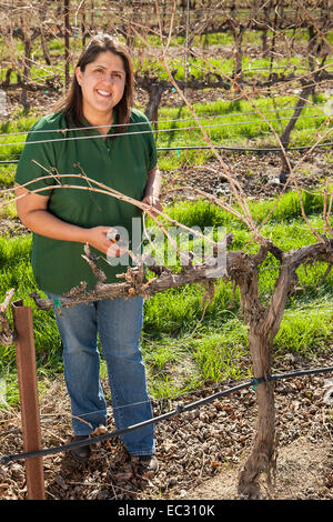 Vigneron Chrissy Wittman dans son vignoble, exploitation viticole Wild Horse, Paso Robles, Californie Banque D'Images