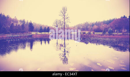 Vue sur lac traité pour un vintage aspect décoloré. Banque D'Images