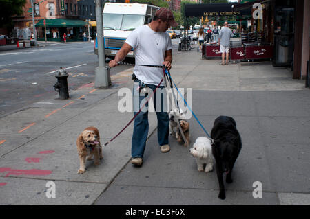 Les promeneurs de chiens chiens à pied dans la ville de New York. Pattes de Manhattan l'intérêt principal est de fournir les meilleurs soins pour chiens NYC. Nos marcheurs dévoués et bien informés sont formés et prêts à s'occuper de chiens de toutes les sortes ; forme et taille-sage. Furry votre petit paquet de joie est donnée la marche de sa vie avec beaucoup de soin, des tonnes d'amour et de plaisir ! Promenades peut être de 30 minutes, 45 minutes ou 1 heure Longueur, privée ou semi-privée. Nous allons travailler avec vous pour adapter un programme de marche de chien qui convient à vos besoins du chien. S'il s'agit d'un clapet à pied ou une longue marche pour exercer votre chien énergique. Banque D'Images