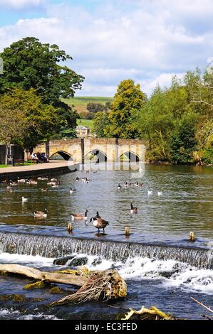 Afficher le long de la rivière Wye vers le pont médiéval avec un déversoir à l'avant-plan, Bakewell, Derbyshire, Angleterre, Royaume-Uni, Europe. Banque D'Images