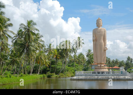 Le Sri Lanka. 09Th Dec, 2014. Immense statue de Bouddha, connu sous le nom de Tsunami Hongan Vihara dans hameau de Peraliya, au nord de Hikkaduwa, Sri Lanka sud. Financé par des dons japonais situé à côté de la ligne de train en tant que monument commémoratif à plus de 1 700 qui ont perdu la vie à Peraliya quand le Colombo à Galle train a été touché par le tsunami. Selon le Centre de gestion des catastrophes nationales plus de 40 000 ont perdu la vie et plus de 15 000 blessés à cause de tsunami du 26 décembre. Un grand pourcentage des décès étaient des pêcheurs, et 66  % de la flotte de pêche a été anéantie. © Paul Quayle/Alamy Live News Banque D'Images
