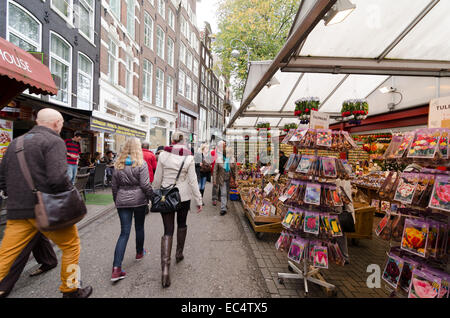 AMSTERDAM, Pays-Bas - 20 octobre 2013 : les gens sur le marché aux fleurs le 20 octobre 2013. C'est le seul marché aux fleurs flottant Banque D'Images