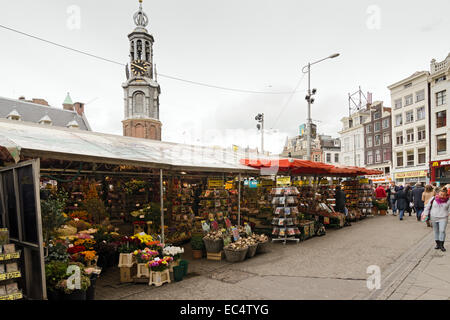 AMSTERDAM, Pays-Bas - 20 octobre 2013 : les gens sur le marché aux fleurs le 20 octobre 2013. C'est le seul marché aux fleurs flottant Banque D'Images