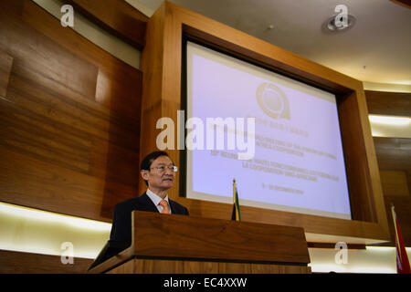 Pretoria, Afrique du Sud. 9Th Mar, 2014. Zhang Ming, Vice-Ministre des affaires étrangères chinois, adresses de la cérémonie d'ouverture de la 10e réunion de hauts fonctionnaires du Forum sur la coopération sino-africaine (FOCAC) à Pretoria, Afrique du Sud, le 9 décembre 2014. La 10e réunion de hauts fonctionnaires de la FCSA ouvert ici mardi. Credit : Zhai Jianlan/Xinhua/Alamy Live News Banque D'Images