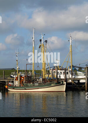 Dans l'arrière-port de Föhr Wyk,Schleswig Holstein,Allemagne,en Europe Banque D'Images