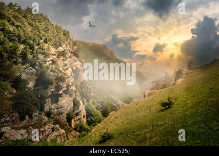 Sur les rochers, les oiseaux et le brouillard au lever du soleil Banque D'Images